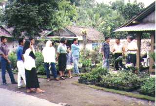 �}�����s�̗��q�����̎����v���O����